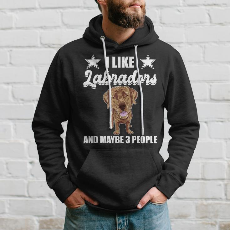I Like Labradors Maybe 3 People Chocolate Lab Gift Labrador Hoodie Gifts for Him