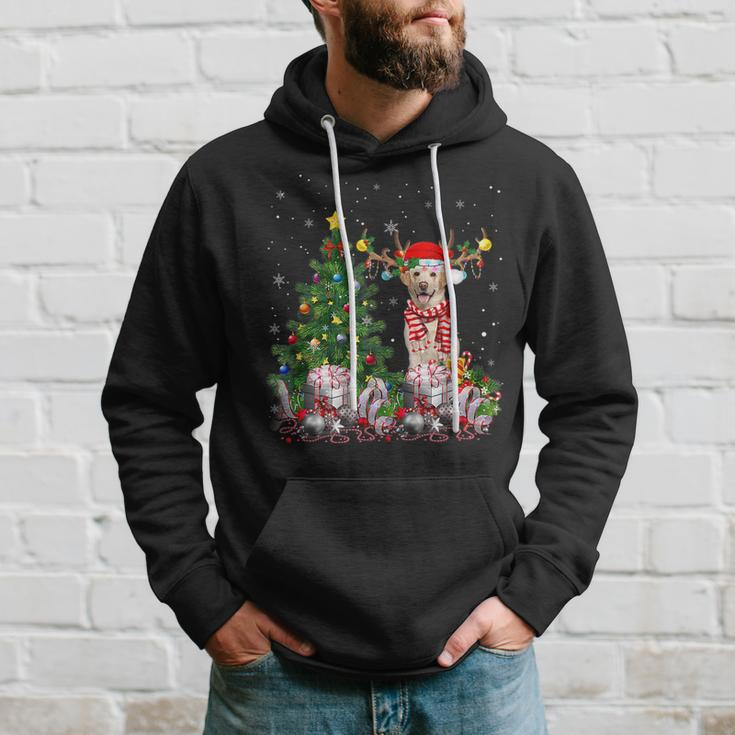 Labrador Retriever Dog Lover Matching Santa Christmas Tree Men Hoodie Graphic Print Hooded Sweatshirt Gifts for Him