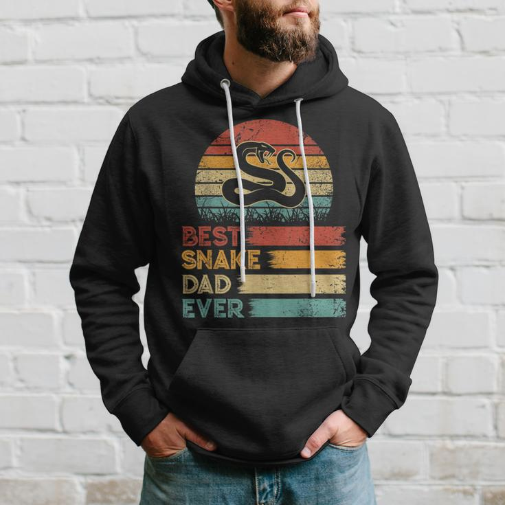 Retro Vintage Best Snake Dad Ever Distressed Animals Lover Hoodie Gifts for Him