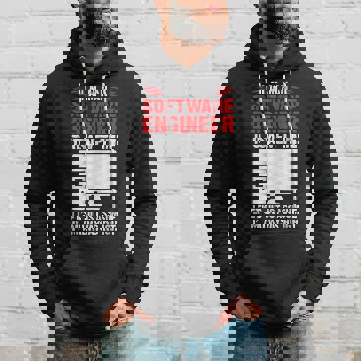 Software Engineer Definition Gift For Engineer Hoodie Gifts for Him