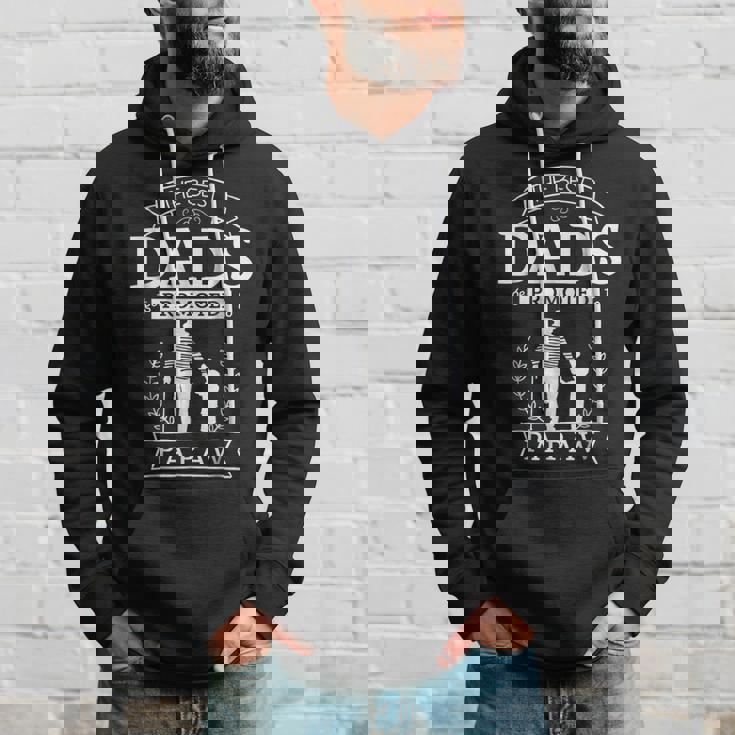 The Best Dads Promoted To Papaw Grandpa Papaw Gift Gift For Mens Hoodie Gifts for Him