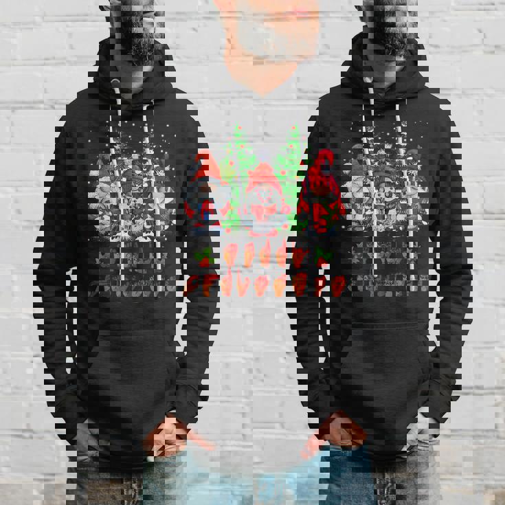 Three Gnomes Pride Asl Sign Language Merry Christmas 2022 Men Hoodie Gifts for Him
