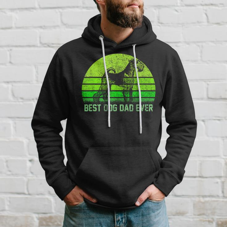 Vintage Best Airedale Terrier Dog Dad Ever Silhouette Sunset Hoodie Gifts for Him