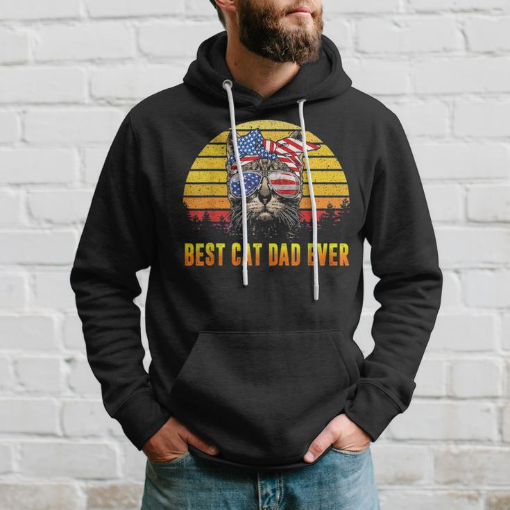 Vintage Best Cat Dad Ever Fathers Day Gifts 4Th Of July Men Hoodie Gifts for Him