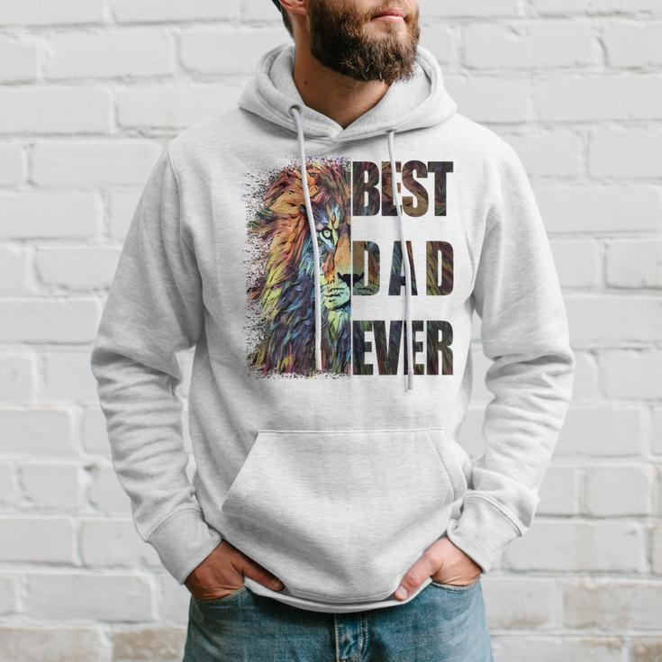 Best Dad Ever Lion Gift For Mens Hoodie Gifts for Him