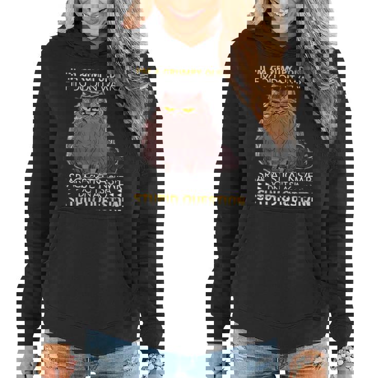 Im A Grumpy Old Lady If You Dont Want A Sarcastic Cat Gift Women Hoodie
