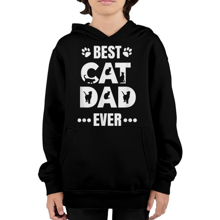 Best Cat Dad Ever T  Cool Stylized Graphics Men Boys Youth Hoodie