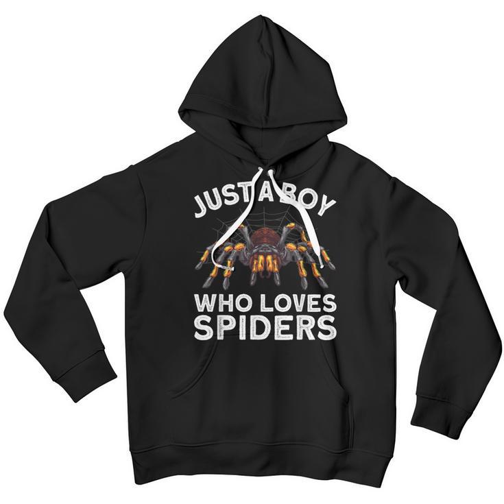 Cute Spider For Men Boys Kids Spider Web Tarantula Arachnid Youth Hoodie Mazezy