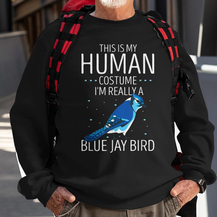 Blauhäher Menschliches Kostüm Sweatshirt, Stellers Jay Tierisches Design Geschenke für alte Männer