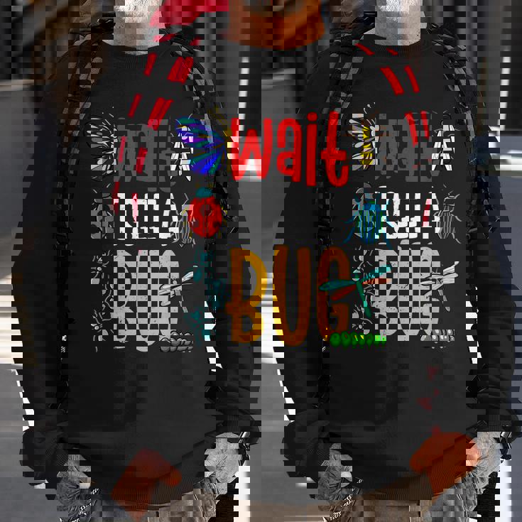 Bug Lover Insect Catcher Insect Bug Sweatshirt Gifts for Old Men