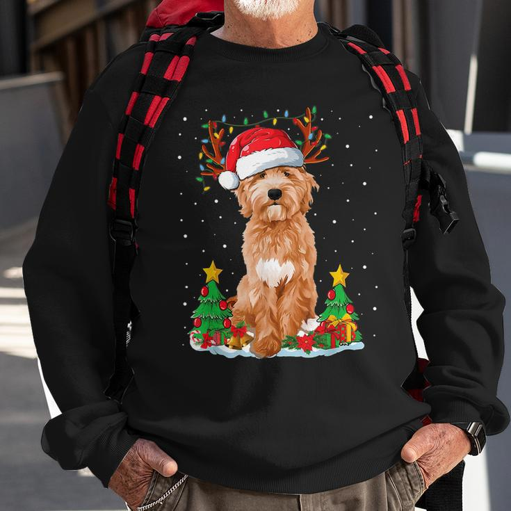 Goldendoodle Christmas Tree Lights Pajama Dog Xmas Men Women Sweatshirt Graphic Print Unisex Gifts for Old Men