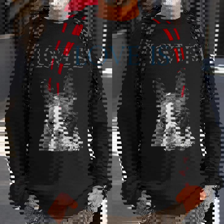 Love Is Boston Terrier Bostie Sweatshirt Gifts for Old Men