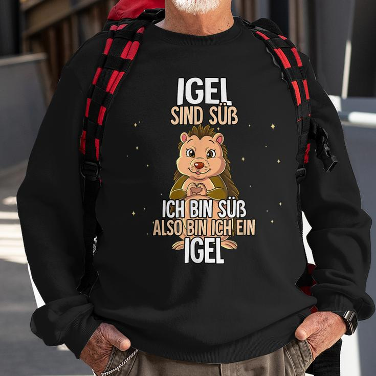 Lustiges Igel Sweatshirt Igel sind süß, also bin ich einer Schwarz Geschenke für alte Männer