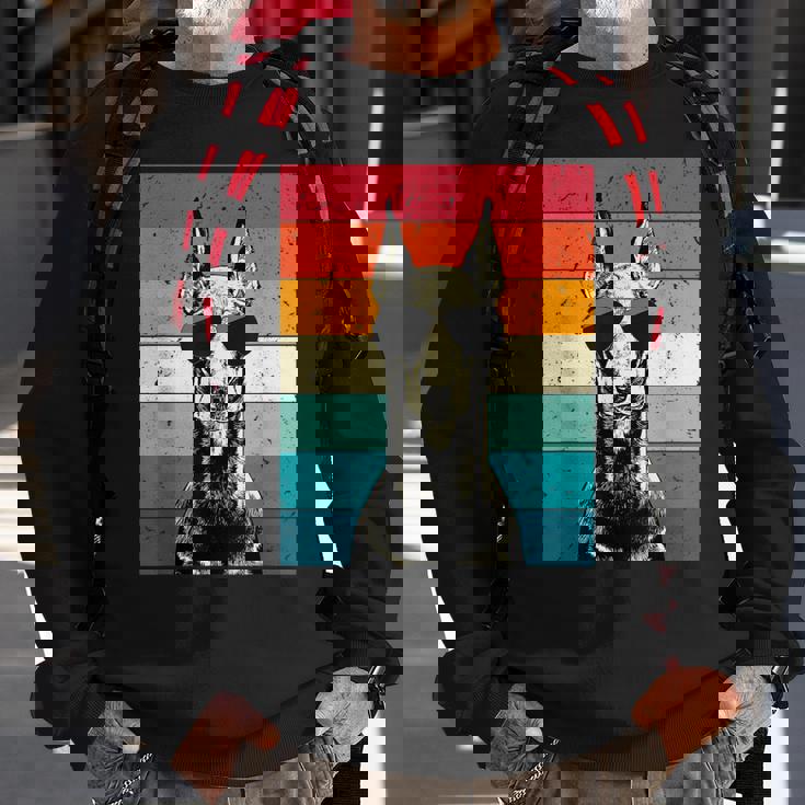 Retro Vintage Doberman Pinscher With Sunglasses Dog Lovers Sweatshirt Gifts for Old Men Retro Vintage Doberman Pinscher With Sunglasses Dog Lovers Sweatshirt Gifts for Old Men