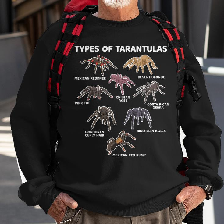 Types Of Tarantulas Pink Toe Chilean Mexican Hairy Spider Sweatshirt Gifts for Old Men