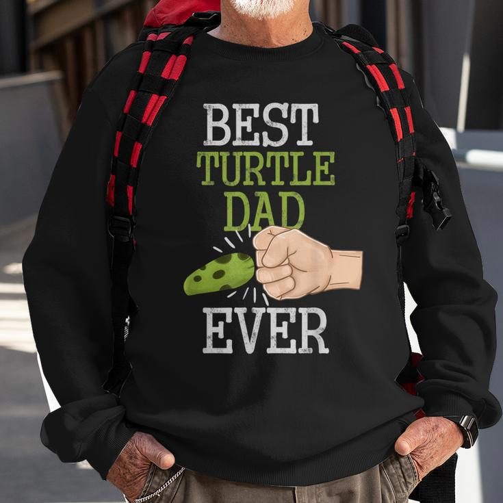 Vintage Best Turtle Dad Ever Fathers Day Animal Lovers Gift Gift For Mens Sweatshirt Gifts for Old Men