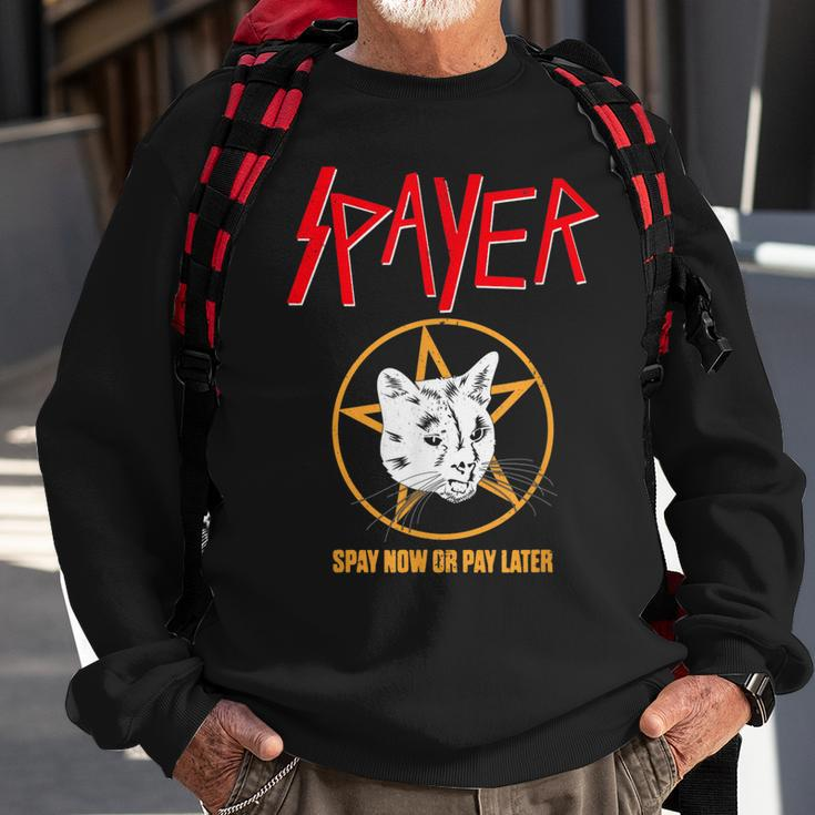 Vintage Rock Spayer Cat Kitten Pun Mom Dad Gift Sweatshirt Gifts for Old Men