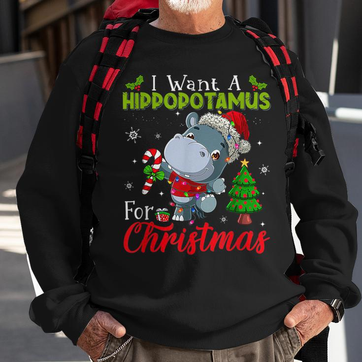 Xmas I Want A Hippopotamus For Christmas Hippo Candy V2 Men Women Sweatshirt Graphic Print Unisex Gifts for Old Men