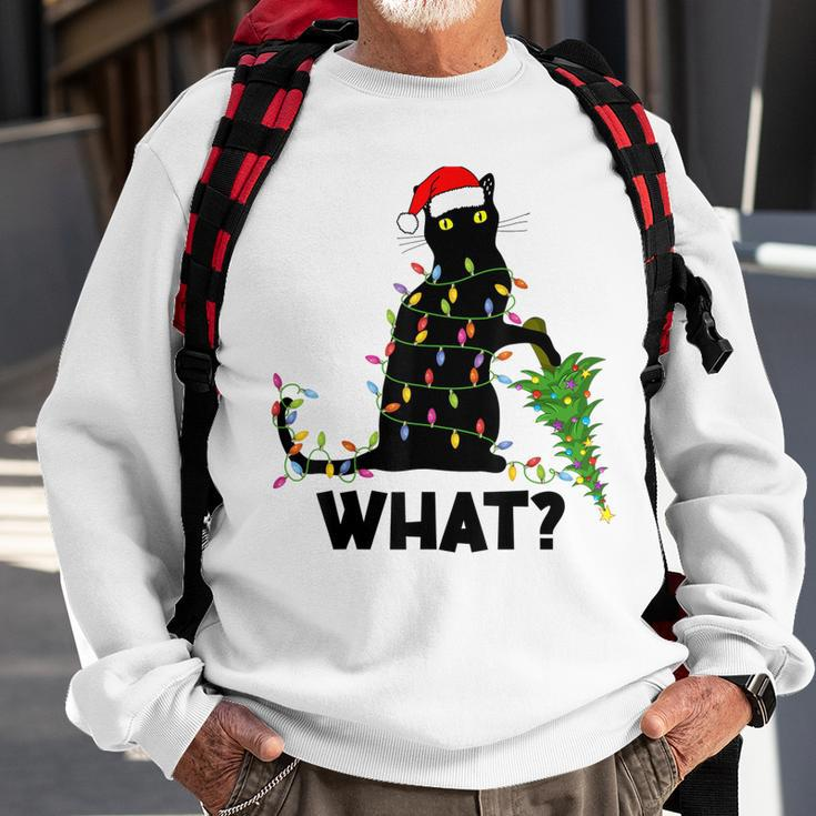 Funny Black Cat Pushing Christmas Tree Over Cat Christmas Men Women Sweatshirt Graphic Print Unisex Gifts for Old Men