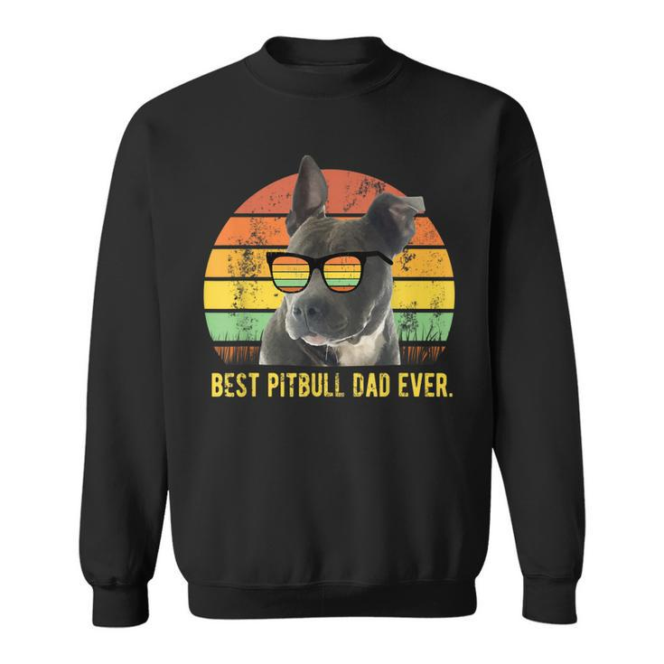 Best Pitbull Dad Ever Cute Funny Retro Sunset Daddy Gift Sweatshirt