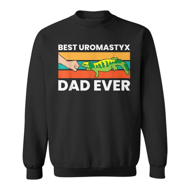 Best Uromastyx Dad Ever Reptile Lizard Uromastyx Sweatshirt