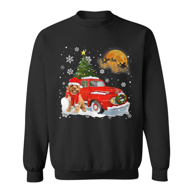 Cavoodle Dog Riding Red Truck Christmas Decorations  Men Women Sweatshirt Graphic Print Unisex