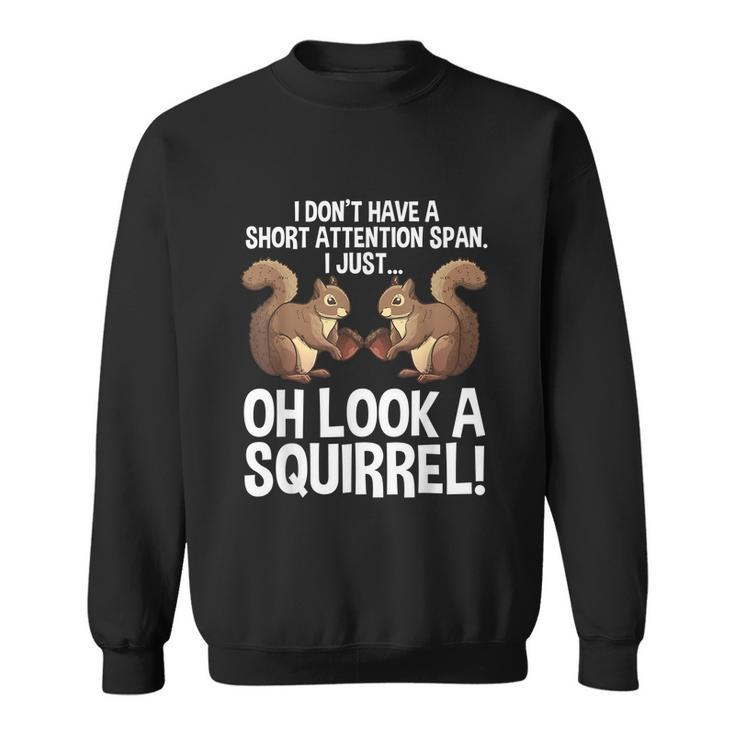Funny Adhd Squirrel Design For Men Women Chipmunk Pet Lovers Sweatshirt