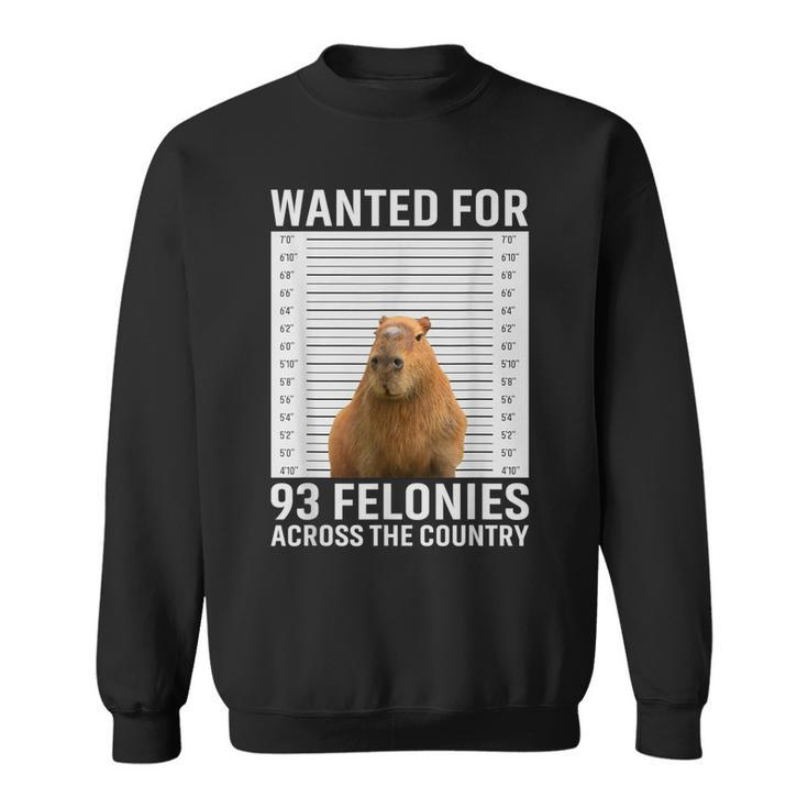 Funny Capybara Hot For 93 Felonies Hilarious Capybara Sweatshirt