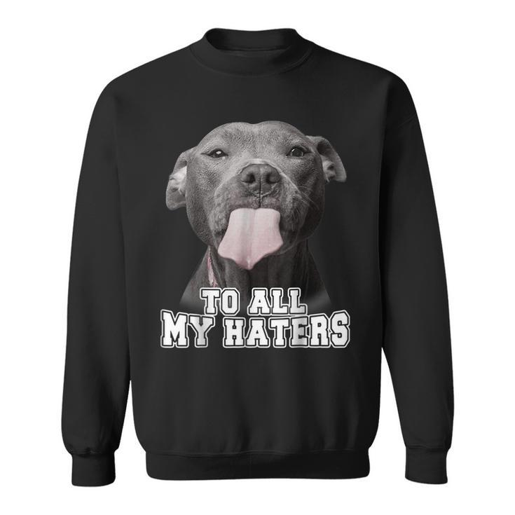 Funny Pitbull To All My Haters  Pitbull Dog Lover  Men Women Sweatshirt Graphic Print Unisex