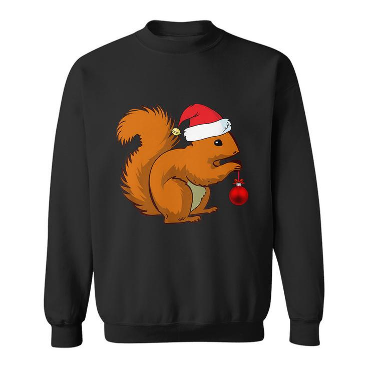 Funny Squirrel Christmas Shirt Santa Hat Animal Gift Kids Tshirt Sweatshirt