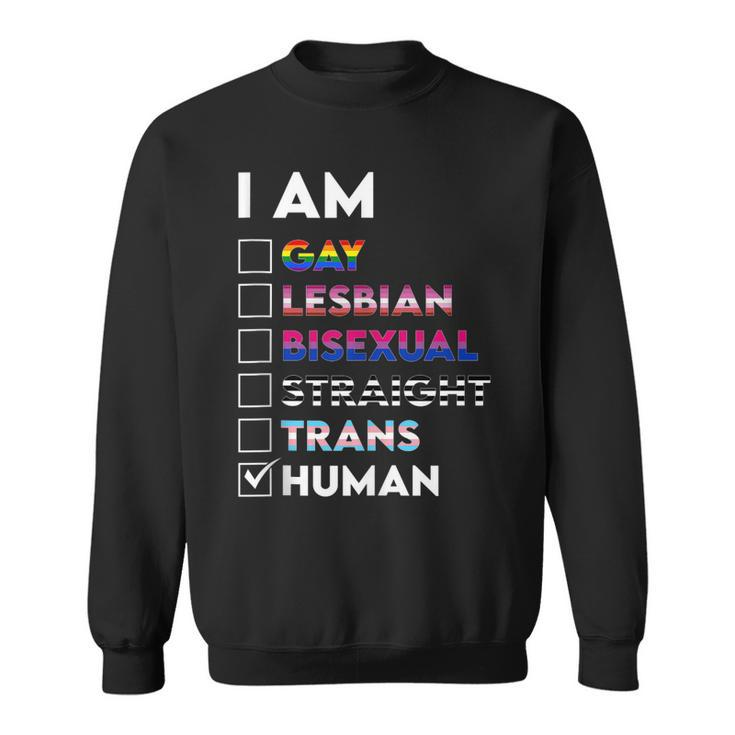 I Am Gay Lesbian Bisexual Straight Trans Human  Sweatshirt