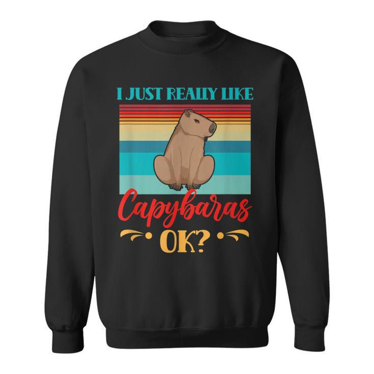 I Just Really Like Capybaras Ok Capybara Rodent Animal  Sweatshirt