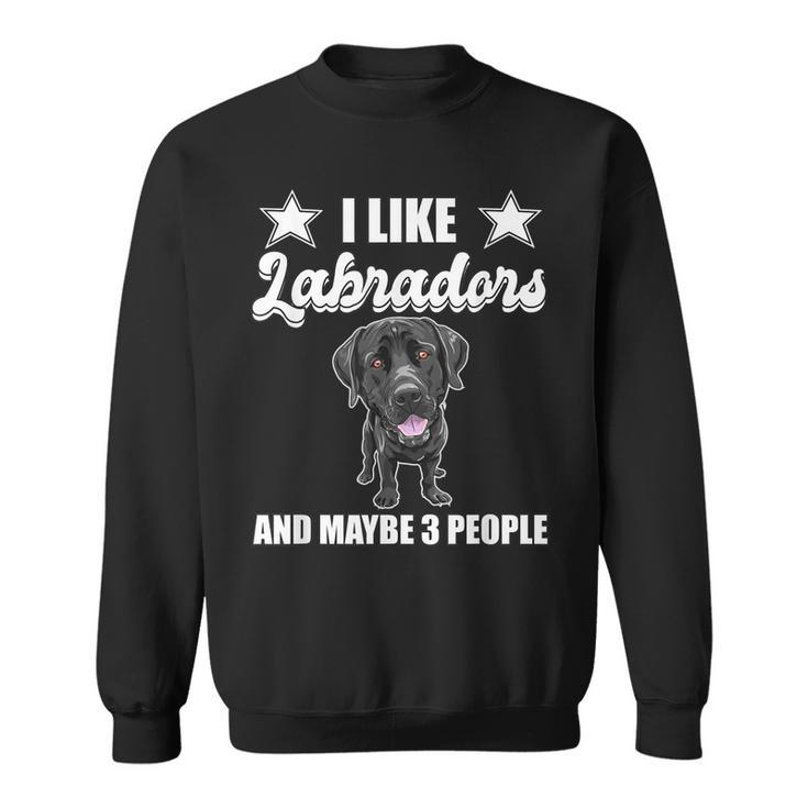 I Like Labradors And Maybe 3 People Black Lab Gift Labrador Sweatshirt