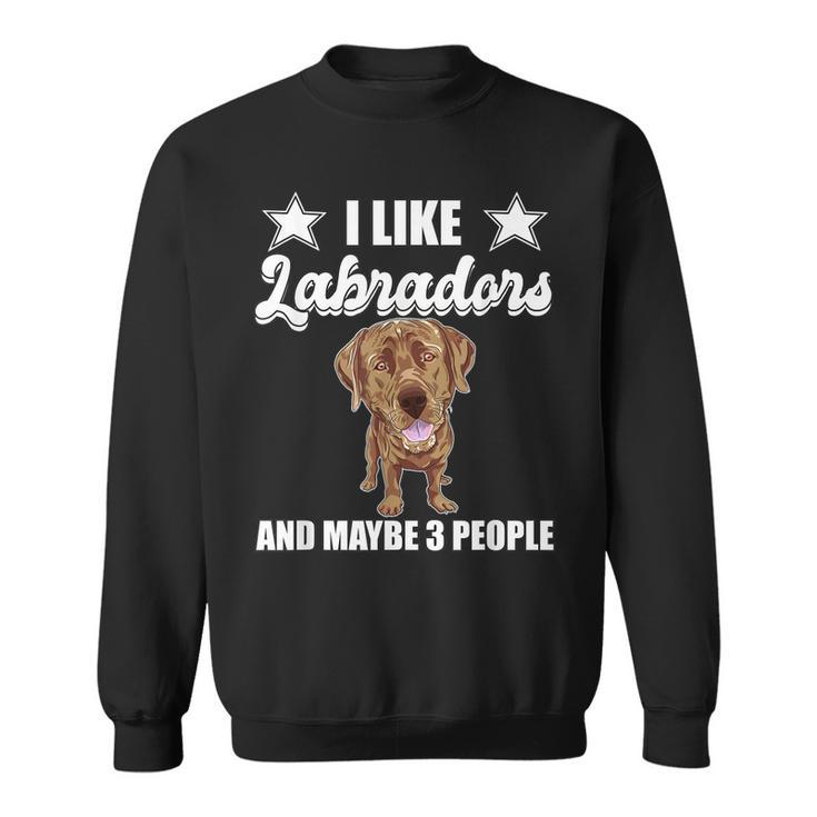 I Like Labradors Maybe 3 People Chocolate Lab Gift Labrador Sweatshirt