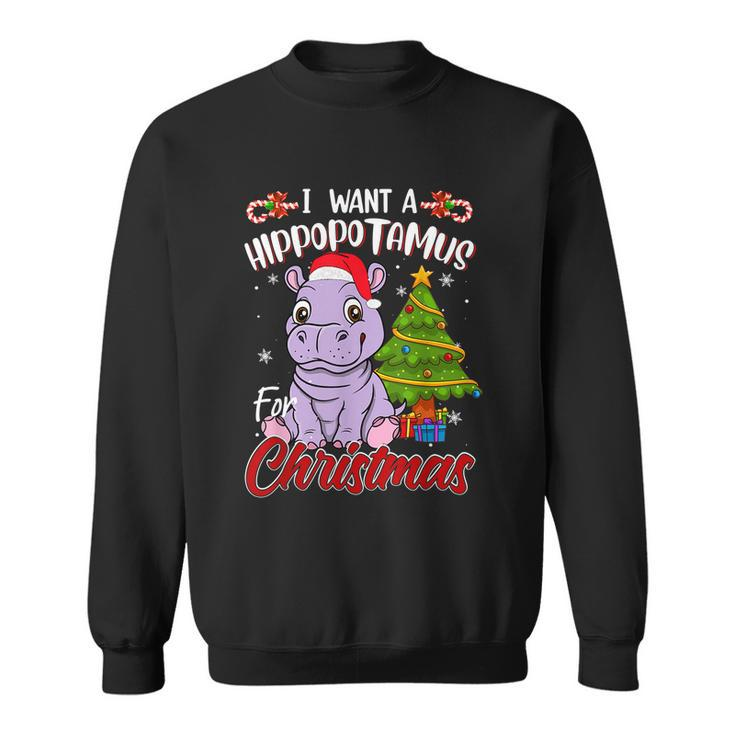 I Want A Hippopotamus For Christmas Funny Hippo Pajamas Xmas Gift Sweatshirt