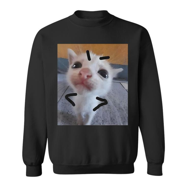Judgy Kitty Funny Cat Lover Angry Kitten Meme Cute Graphic  Sweatshirt