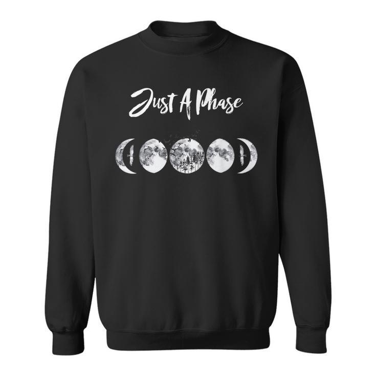 Just A Phase Moon Cycle Phases Of The Moon Astronomy Design  Sweatshirt