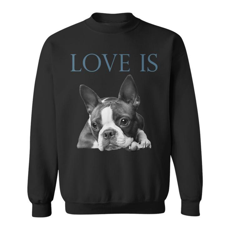 Love Is Boston Terrier Bostie  Sweatshirt