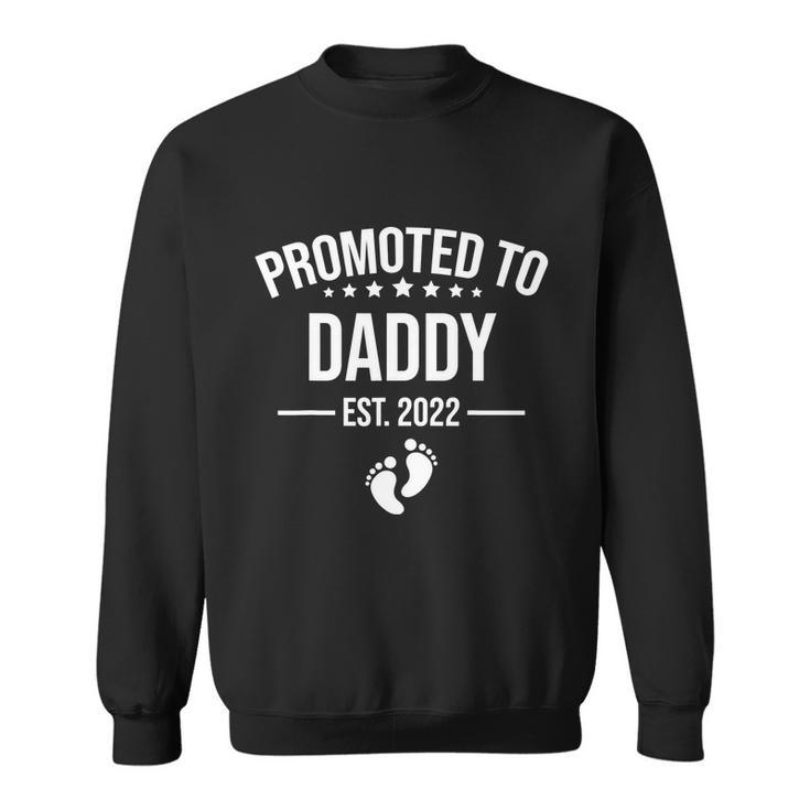 Mens Funny 1St Time Dad Est 2022 New First Fathers Hood Day Cool Gift V2 Sweatshirt
