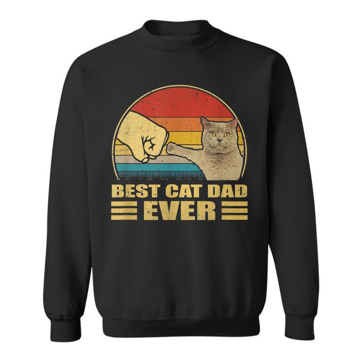 Mens Vintage Best Cat Dad Ever Bump Fit Funny Cat Lover Gift  Sweatshirt