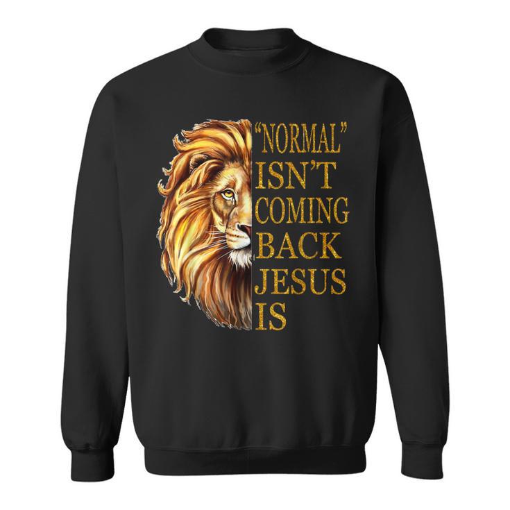 Lion of 2024 judah hoodie