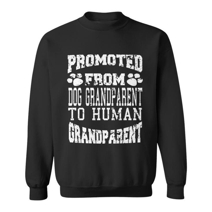 Promoted From Dog Grandparent To Human Grandparent Sweatshirt