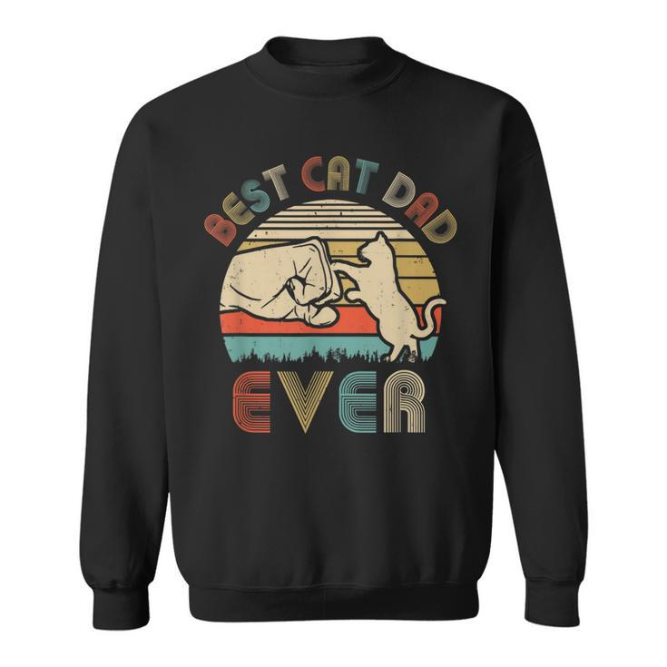 Vintage Best Cat Dad Ever Bump Fit Funny Dat  Sweatshirt