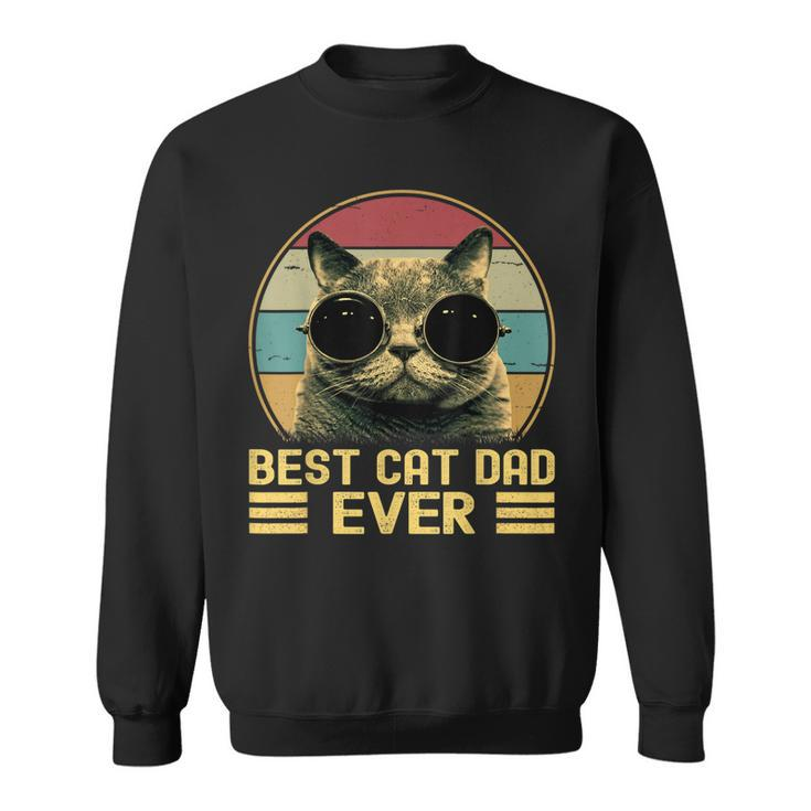 Vintage Best Cat Dad Ever Funny For Men Cat Lover Cat Dad  V2 Sweatshirt