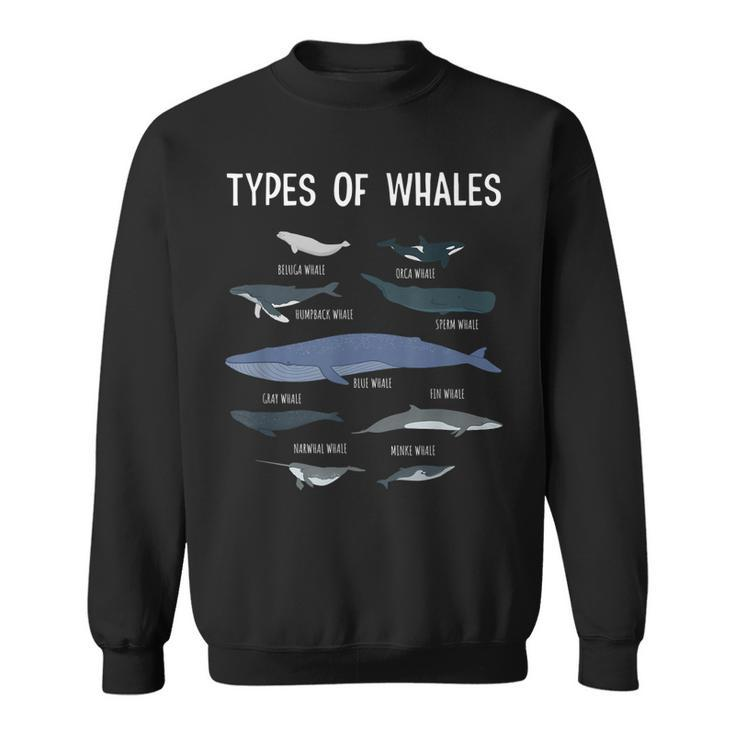 Whale Lover  Whale Lover Gift Types Of Whales  Sweatshirt