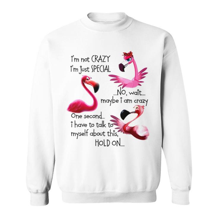 Flamingo I’M Not Crazy I’M Just Special No Wait Maybe I Am Crazy Sweatshirt