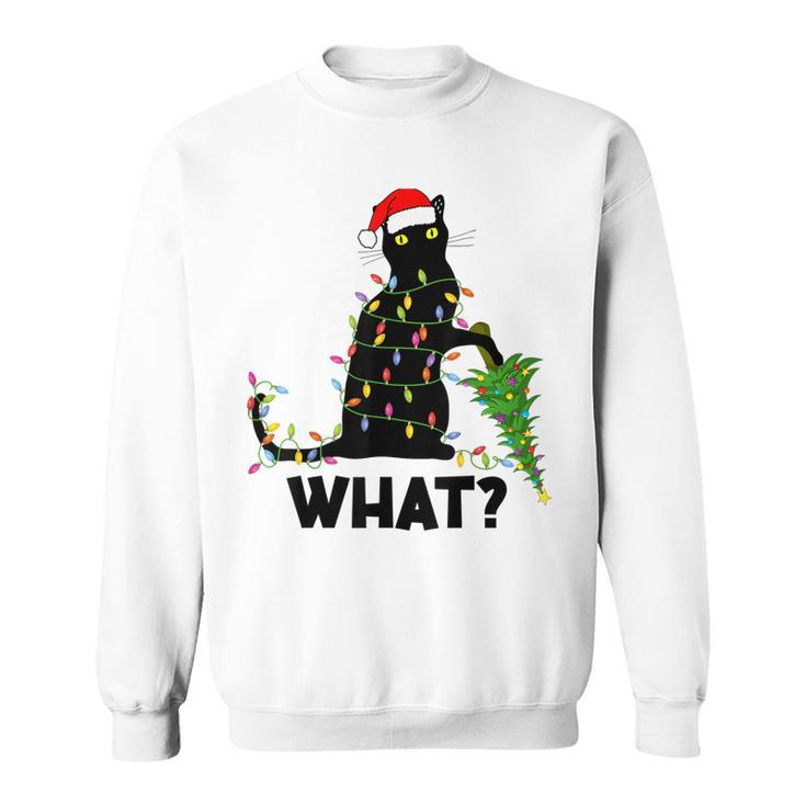 Funny Black Cat Pushing Christmas Tree Over Cat Christmas Men Women Sweatshirt Graphic Print Unisex