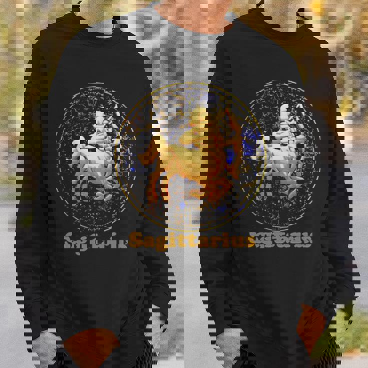 A Zodiac Sign Test Sagittarius Zodiac Sweatshirt Gifts for Him