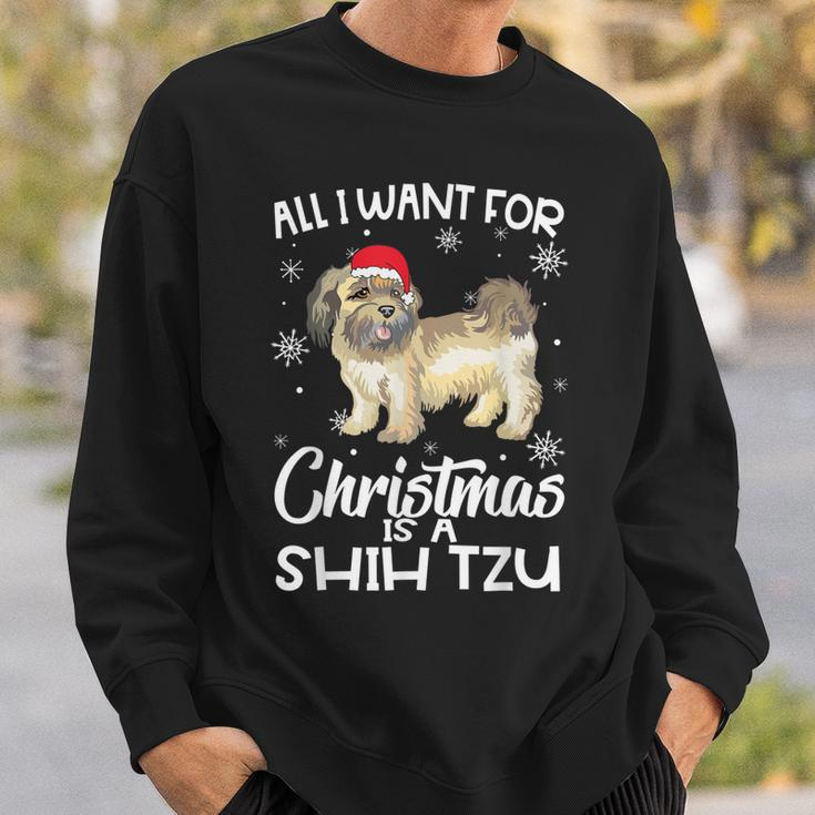 All I Want For Christmas Is A Shih Tzu Dog Lover Gifts Xmas Men Women Sweatshirt Graphic Print Unisex Gifts for Him