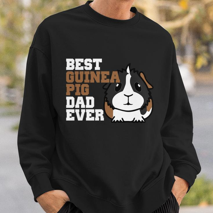 Best Guinea Pig Dad Ever V2 Sweatshirt Gifts for Him